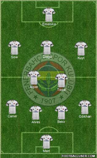 Fenerbahçe SK Formation 2014