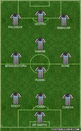 Newcastle United Formation 2014