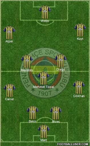 Fenerbahçe SK Formation 2014