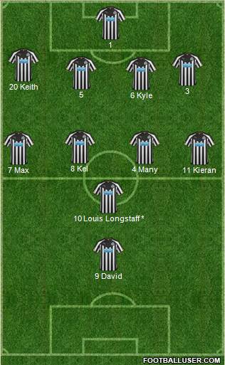 Newcastle United Formation 2014