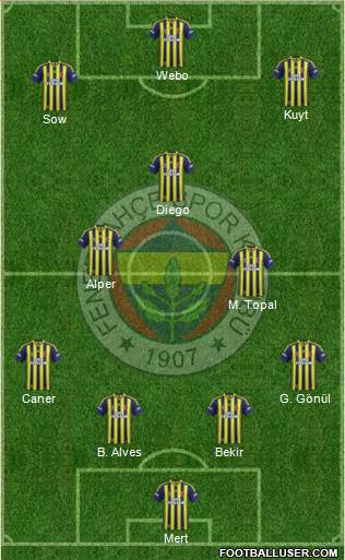 Fenerbahçe SK Formation 2014