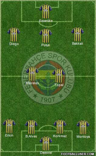 Fenerbahçe SK Formation 2014