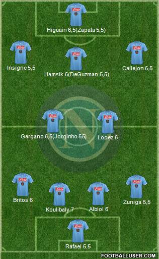 Napoli Formation 2014