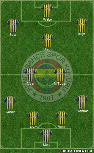 Fenerbahçe SK Formation 2014