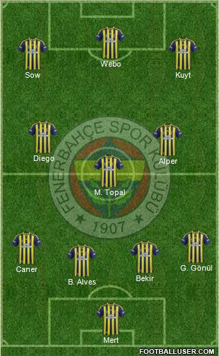 Fenerbahçe SK Formation 2014