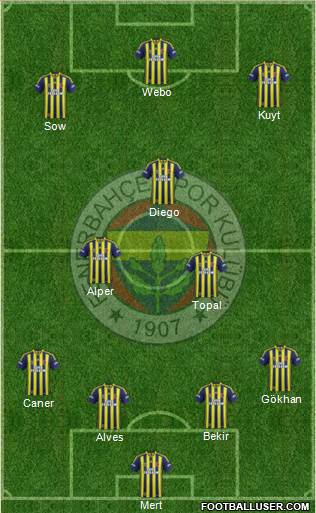 Fenerbahçe SK Formation 2014