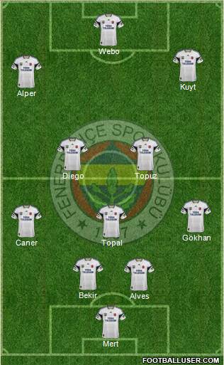 Fenerbahçe SK Formation 2014