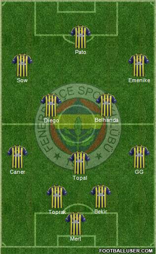 Fenerbahçe SK Formation 2014