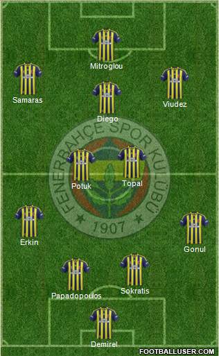 Fenerbahçe SK Formation 2014