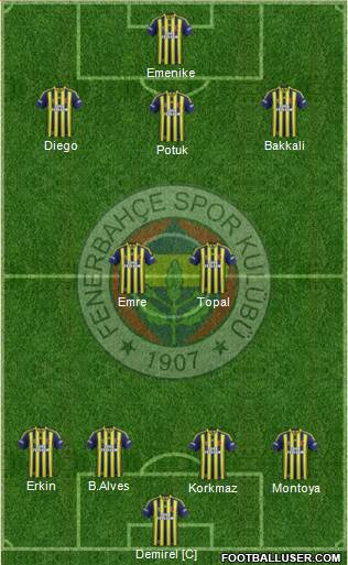 Fenerbahçe SK Formation 2014