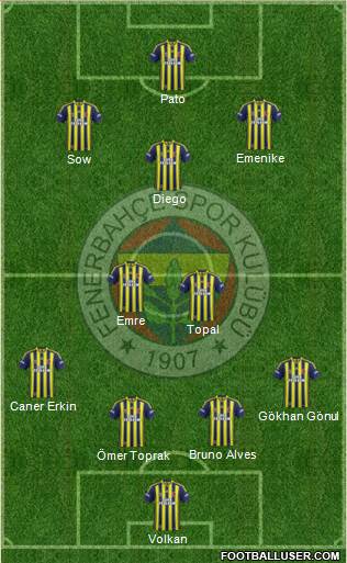 Fenerbahçe SK Formation 2014