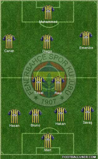 Fenerbahçe SK Formation 2014