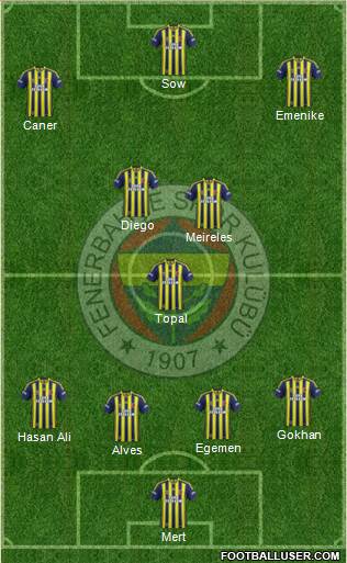 Fenerbahçe SK Formation 2014