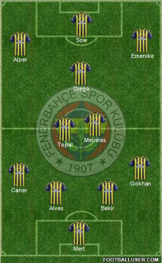 Fenerbahçe SK Formation 2014