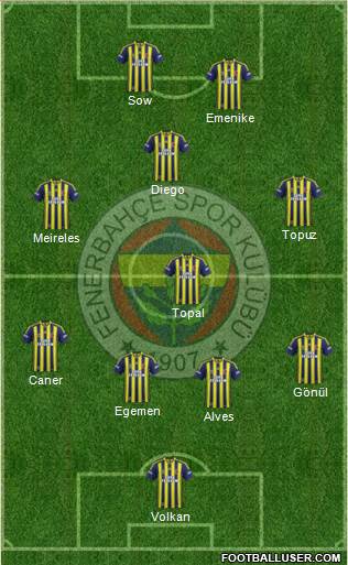 Fenerbahçe SK Formation 2014