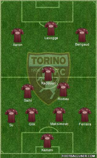 Torino Formation 2014