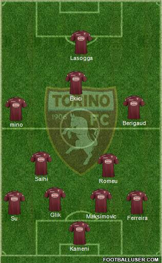 Torino Formation 2014