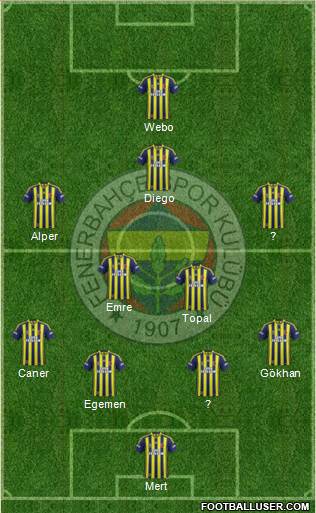 Fenerbahçe SK Formation 2014