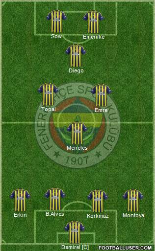 Fenerbahçe SK Formation 2014