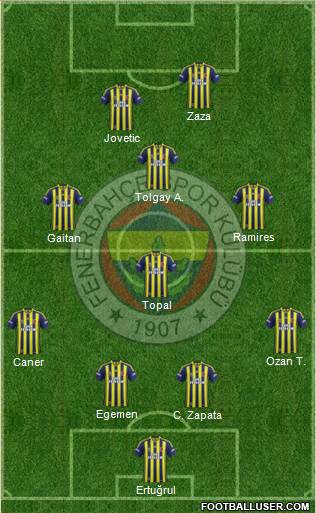 Fenerbahçe SK Formation 2014