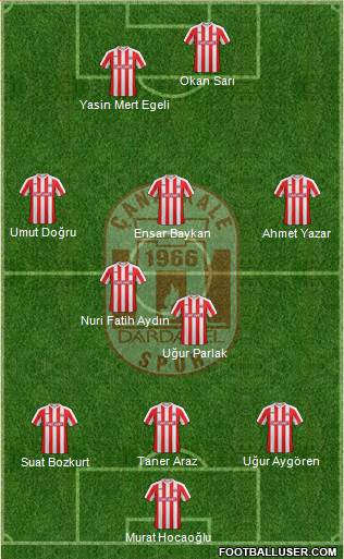Dardanelspor A.S. Formation 2014