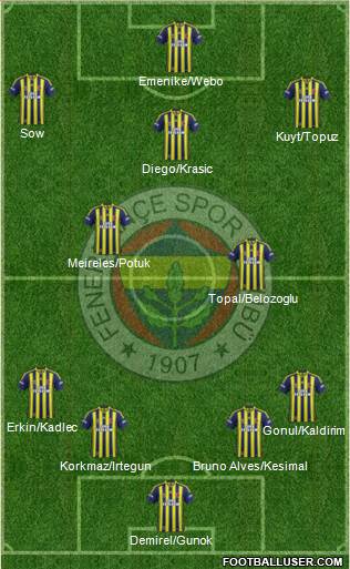 Fenerbahçe SK Formation 2014