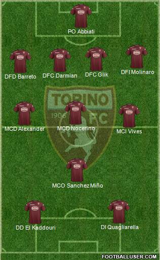 Torino Formation 2014
