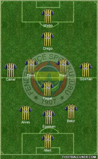 Fenerbahçe SK Formation 2014