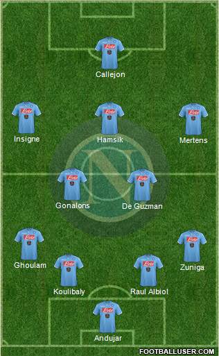 Napoli Formation 2014