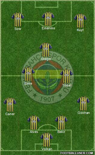 Fenerbahçe SK Formation 2014