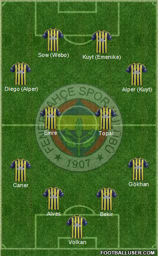 Fenerbahçe SK Formation 2014