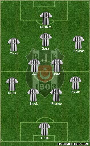 Besiktas JK Formation 2014