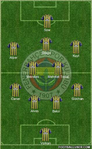 Fenerbahçe SK Formation 2014