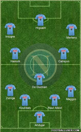 Napoli Formation 2014