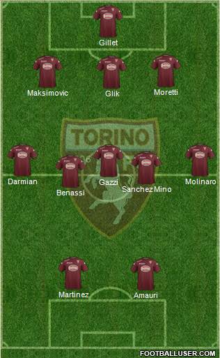 Torino Formation 2014