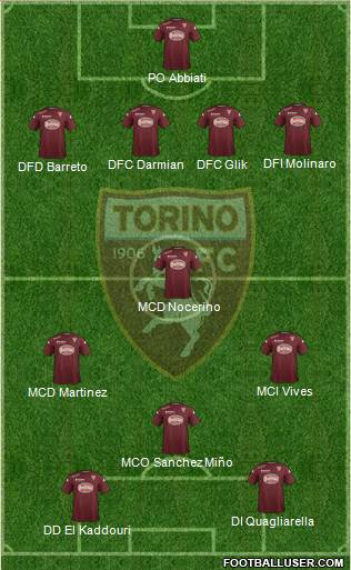 Torino Formation 2014