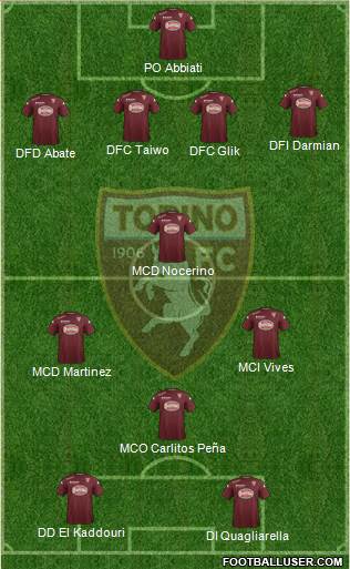 Torino Formation 2014