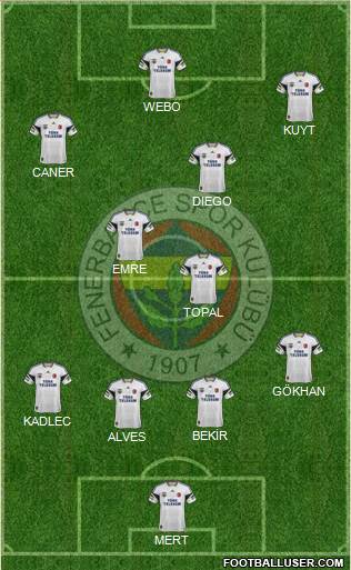 Fenerbahçe SK Formation 2014