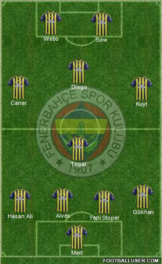 Fenerbahçe SK Formation 2014