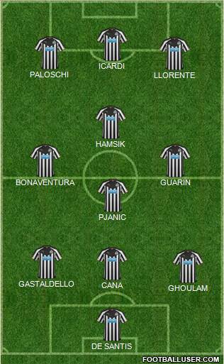 Newcastle United Formation 2014