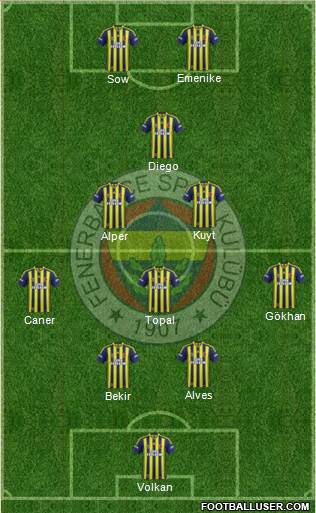 Fenerbahçe SK Formation 2014