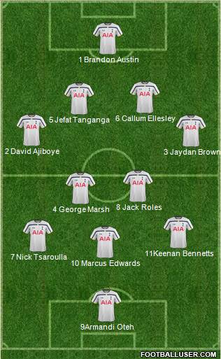Tottenham Hotspur Formation 2014
