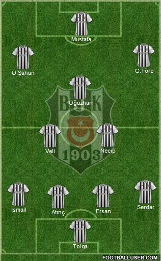 Besiktas JK Formation 2014