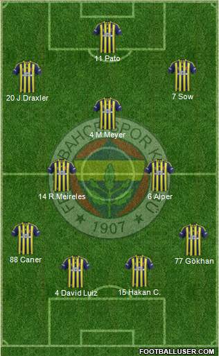 Fenerbahçe SK Formation 2014