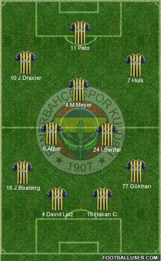 Fenerbahçe SK Formation 2014