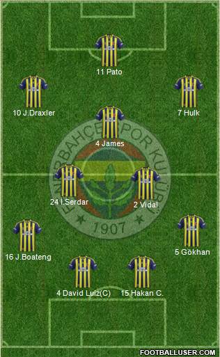 Fenerbahçe SK Formation 2014