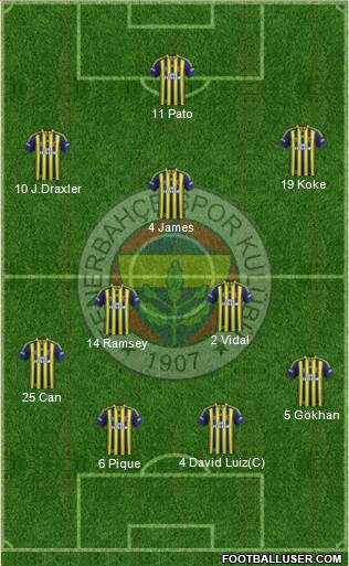 Fenerbahçe SK Formation 2014