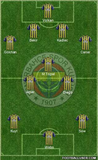 Fenerbahçe SK Formation 2014