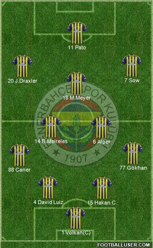 Fenerbahçe SK Formation 2014
