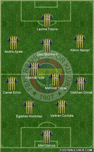 Fenerbahçe SK Formation 2014